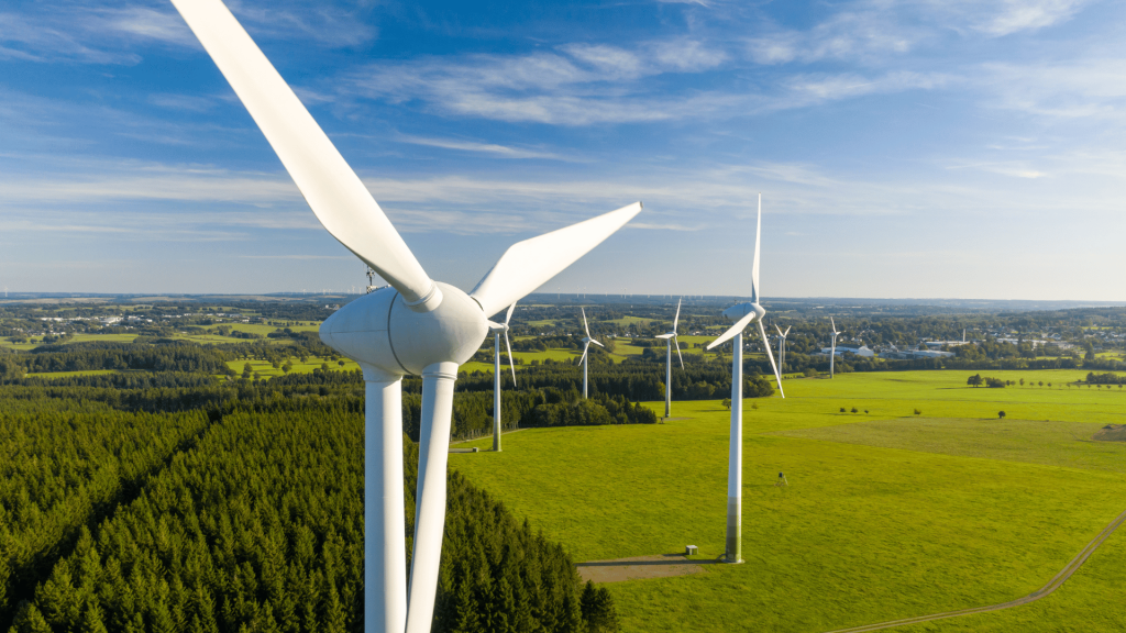 Wind turbine farms are a source of renewable energy and investment potential