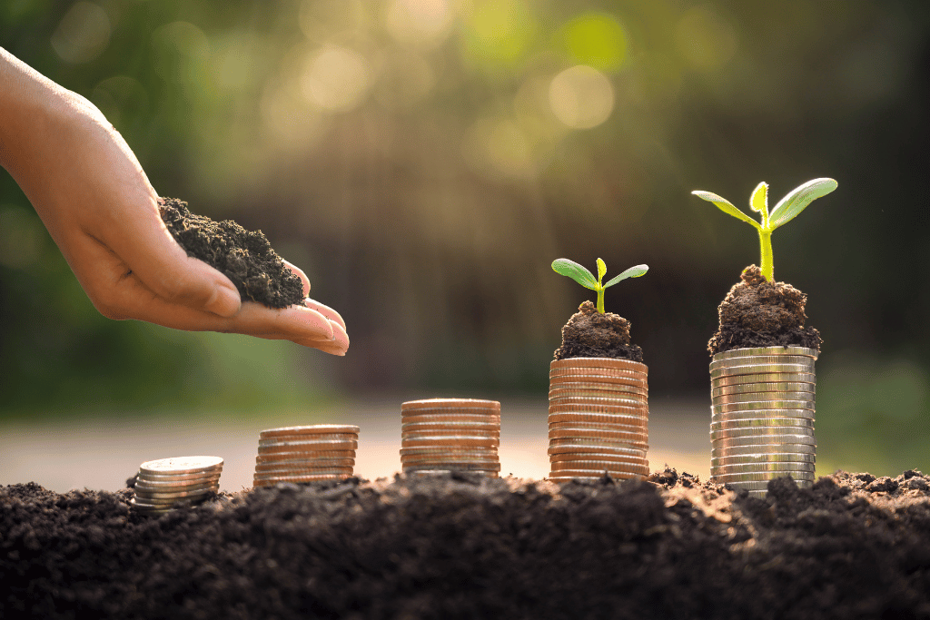 Portfolio management is like maintaining a garden. Nurturing it until it blooms. Coins on dirt with small plants growing from the top.