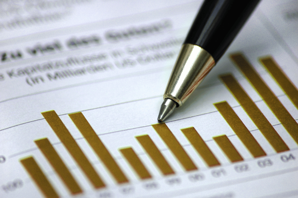 A Quick Lesson on Fundamental Analysis: Assessing Potential Investments