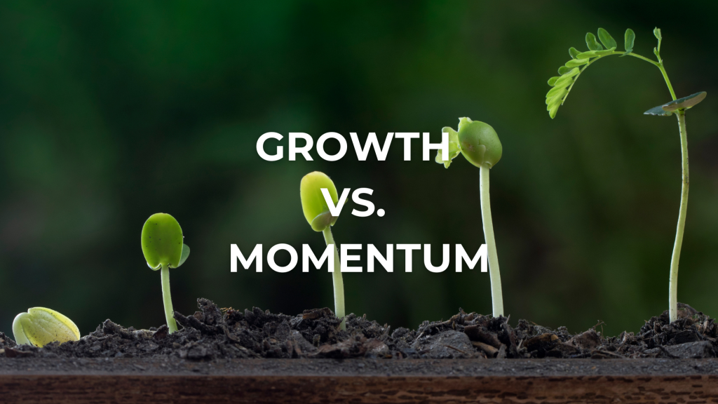 Diversiview portfolio optimisation and growth vs momentum strategies