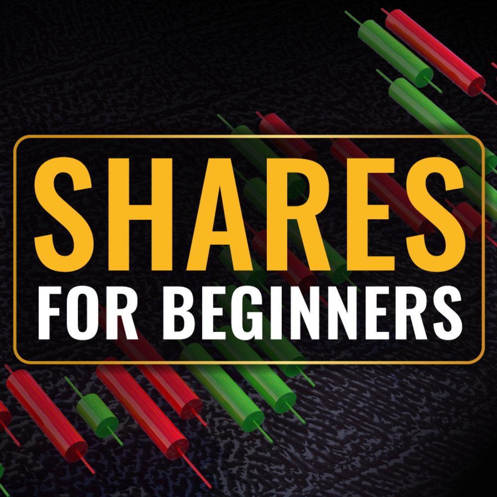 Shares For Beginners partners with Diversiview